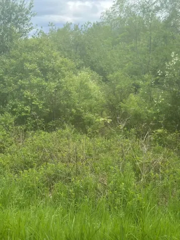 Lot 7 Unionville Road Steuben ME 04680