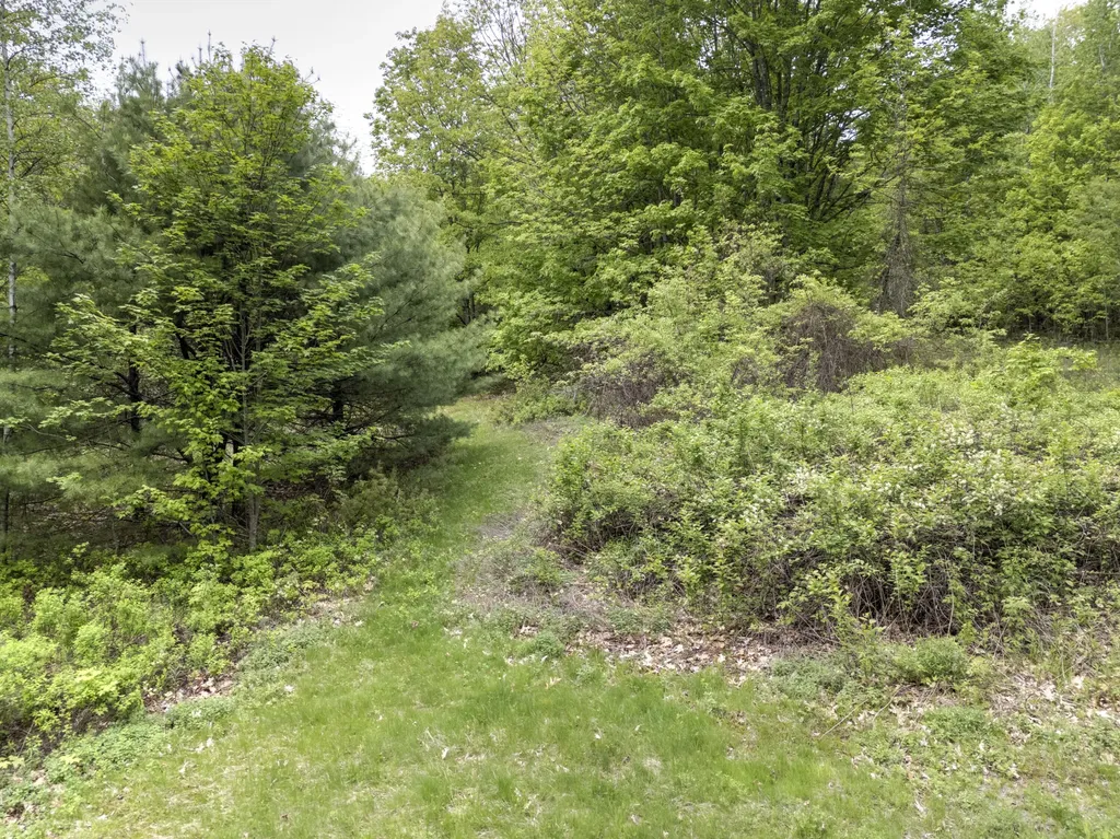 340 Bird Hill Road Bethel ME 04217