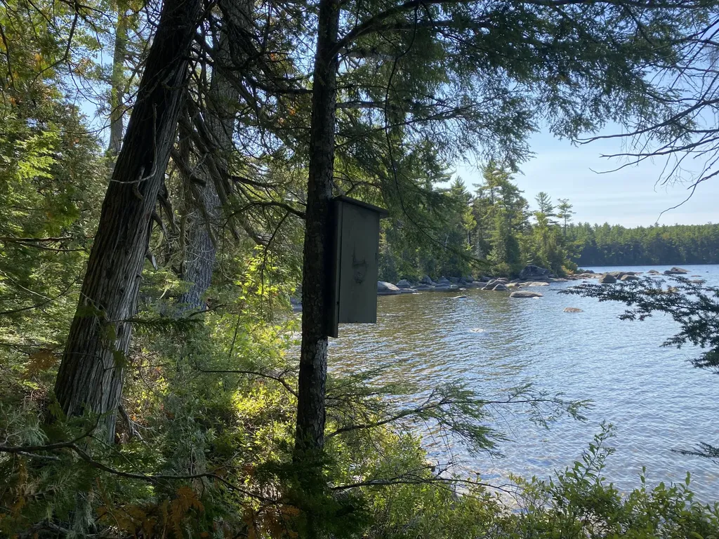 M06-LOT18B Sys Road Lakeville ME 04487