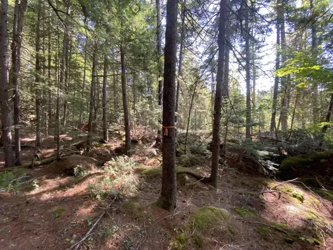 M06-LOT18B Sys Road Lakeville ME 04487