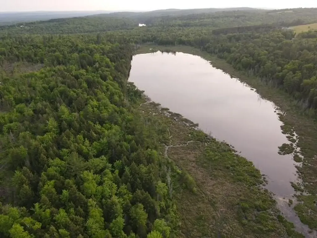 Lot 12 Parker Pond Road Sebec ME 04481