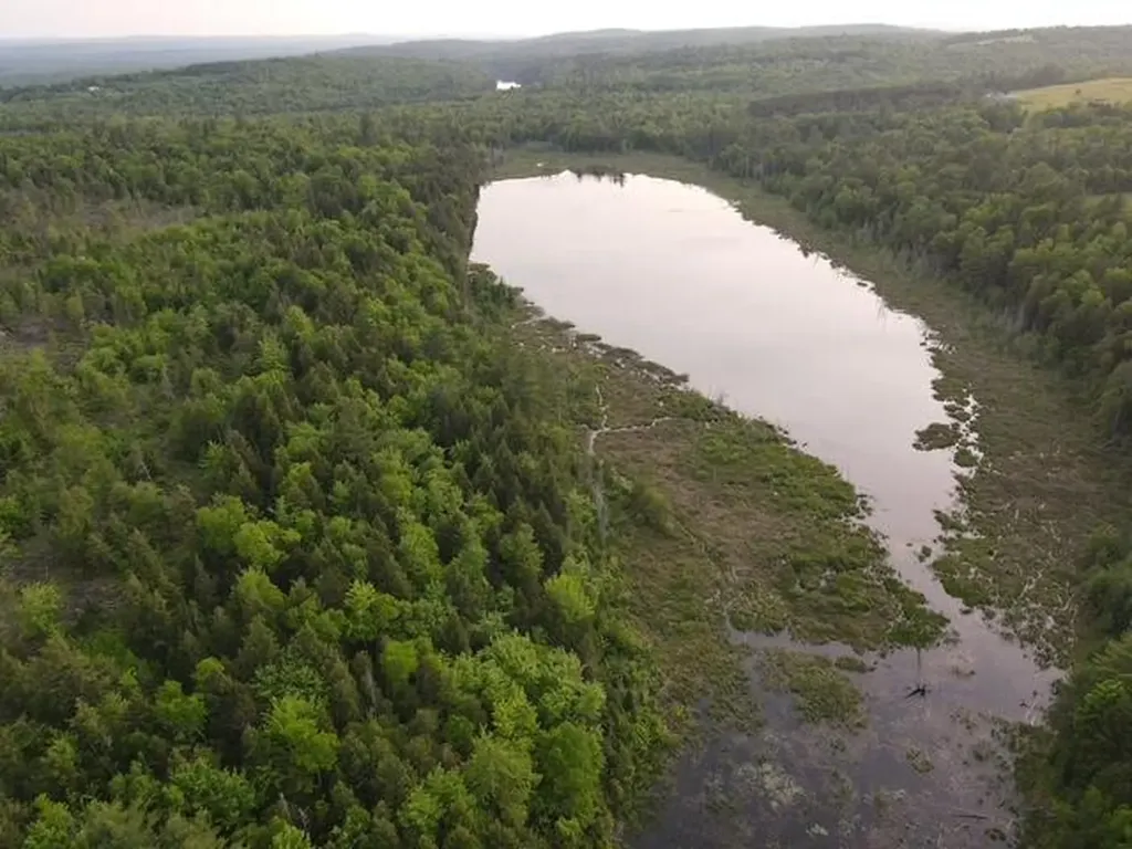 Lot 12 Parker Pond Road Sebec ME 04481