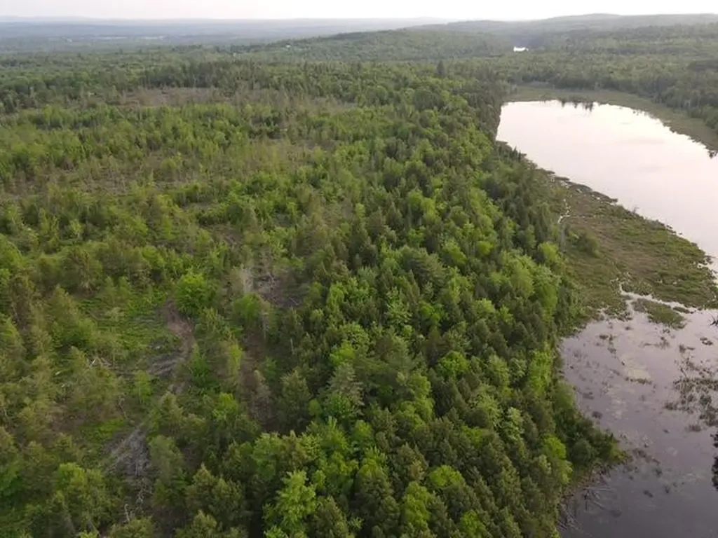 Lot 12 Parker Pond Road Sebec ME 04481