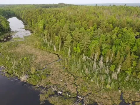 Lot 12 Parker Pond Road Sebec ME 04481