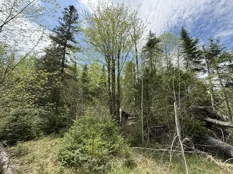 390 Woodland Road Princeton ME 04668