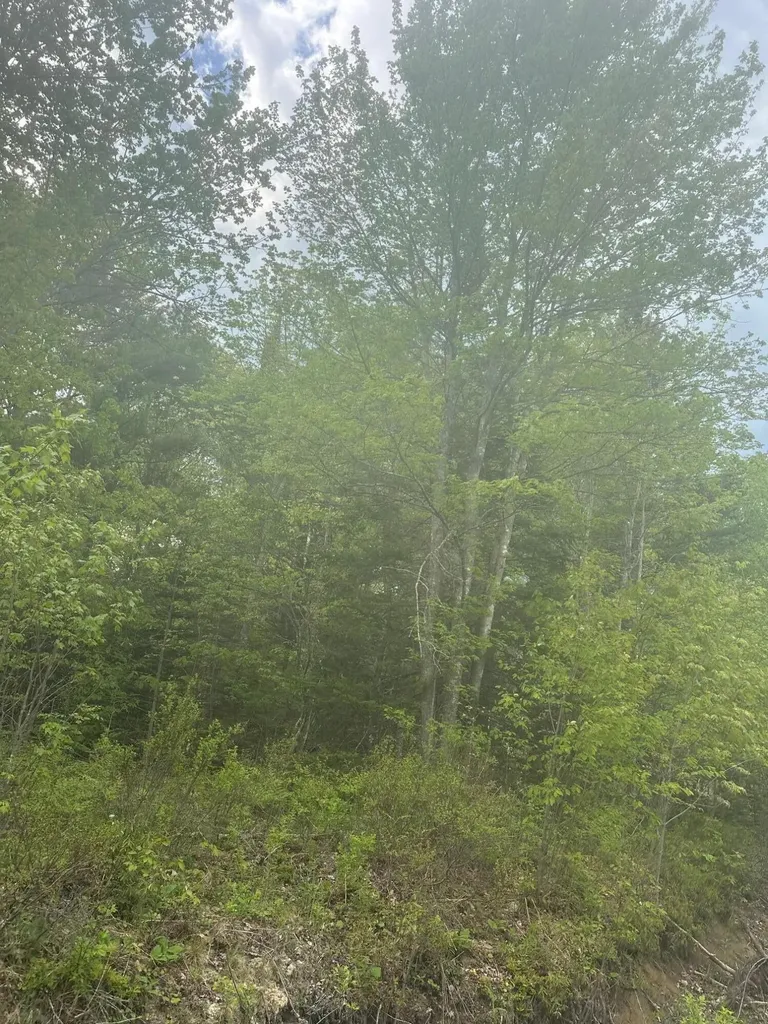1 Morse District Road N Steuben ME 04680