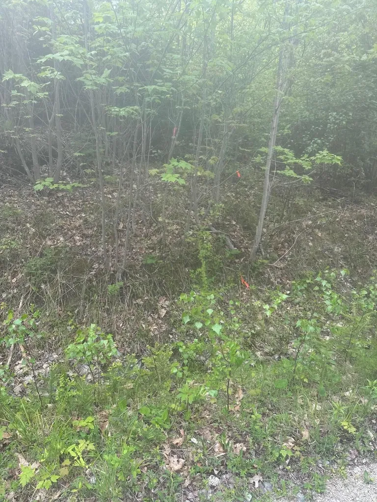 1 Morse District Road N Steuben ME 04680