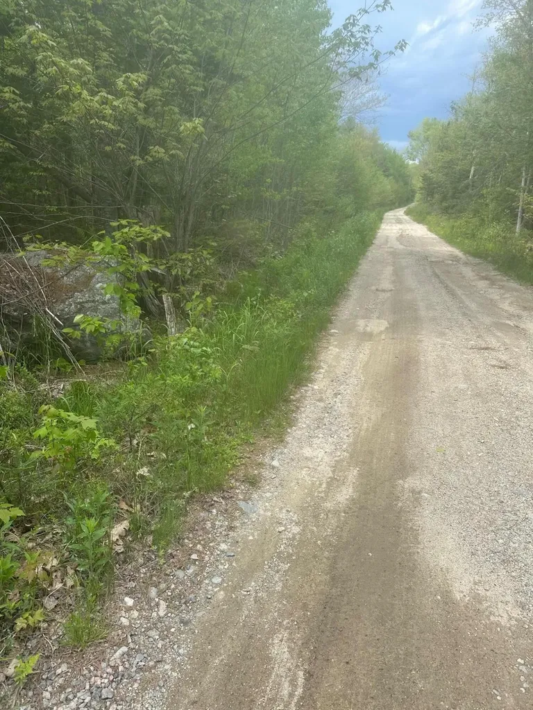 1 Morse District Road N Steuben ME 04680