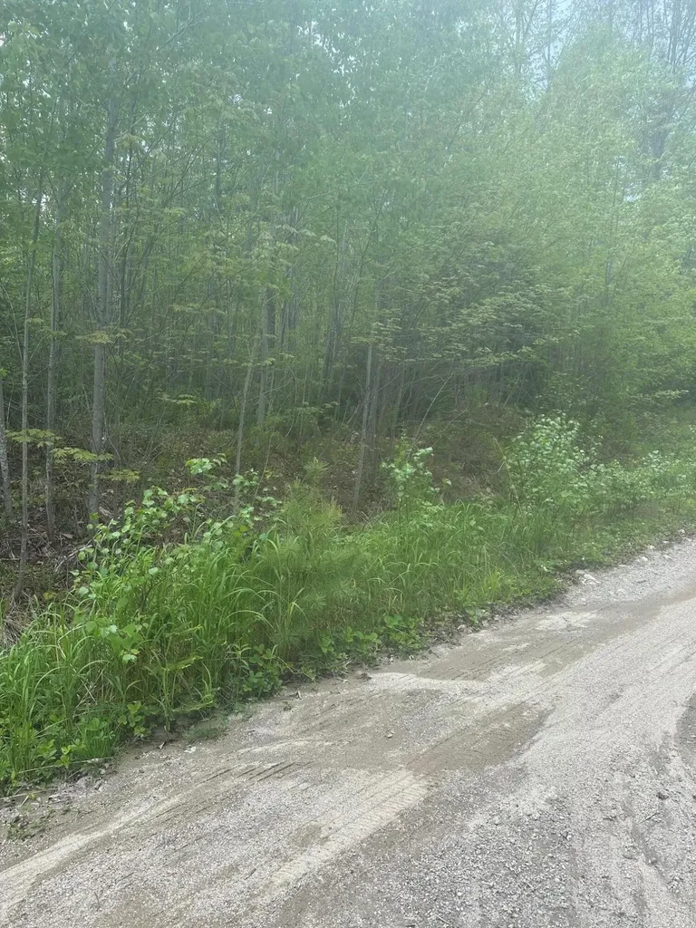 1 Morse District Road N Steuben ME 04680