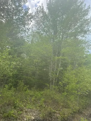 1 Morse District Road N Steuben ME 04680