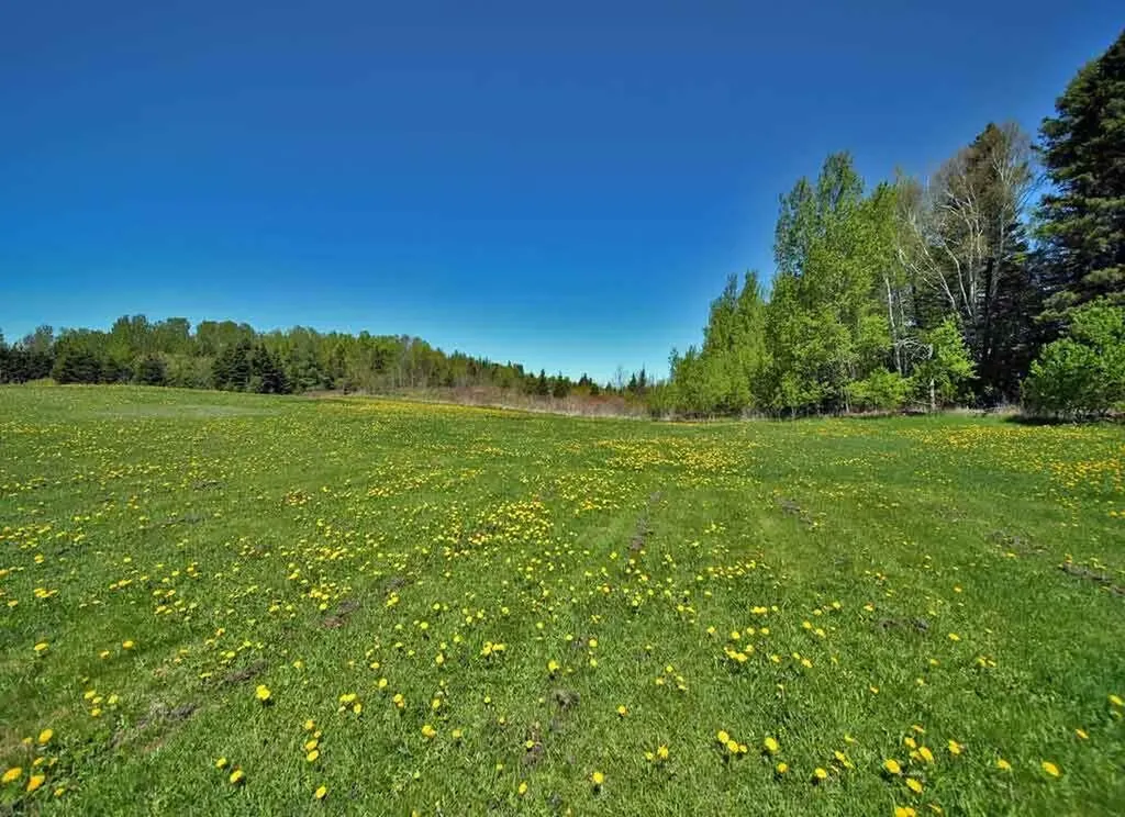 160 Snow Road Bridgewater ME 04735