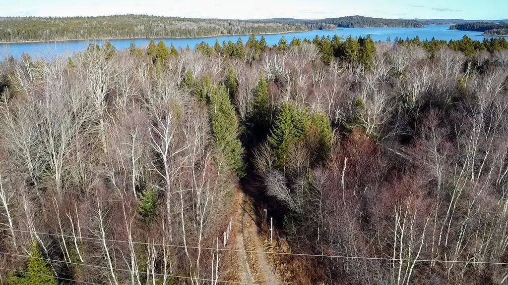 3 Middle Ground View Jonesport ME 04649