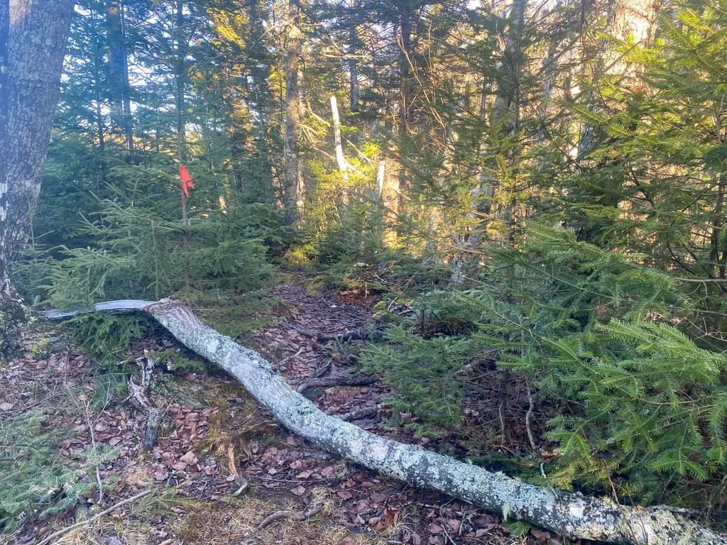 3 Middle Ground View Jonesport ME 04649