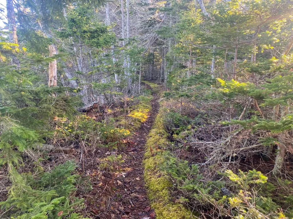 3 Middle Ground View Jonesport ME 04649