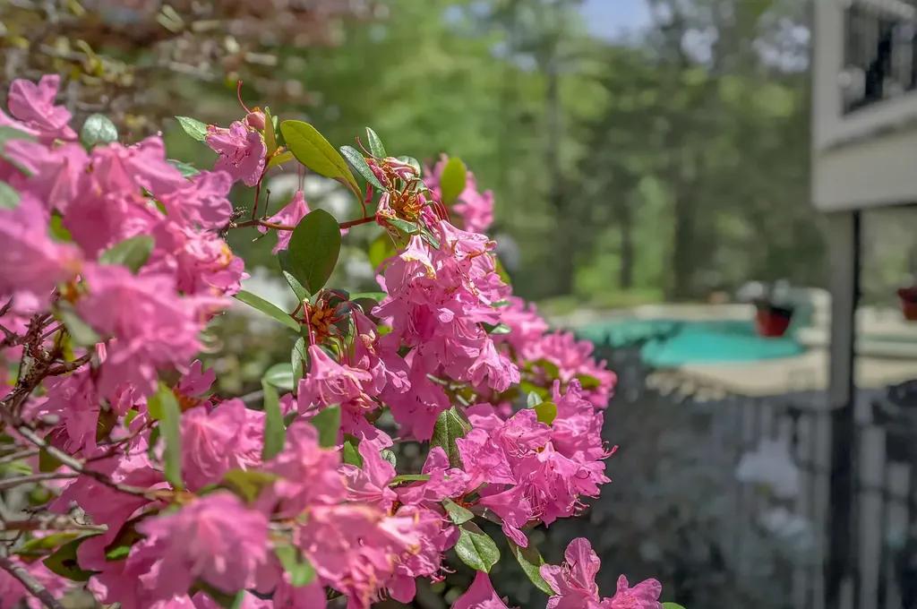 12 Touchstone Drive Kennebunkport ME 04046