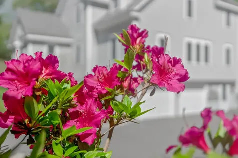 12 Touchstone Drive Kennebunkport ME 04046