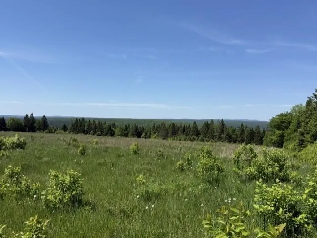 940 W Road New Sweden ME 04762