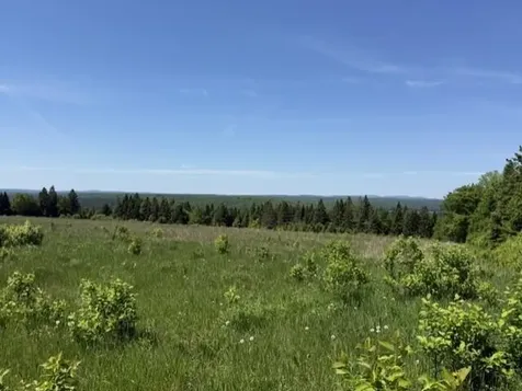 940 W Road New Sweden ME 04762