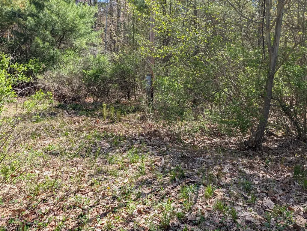 35 Mcallister Road Otisfield ME 04270