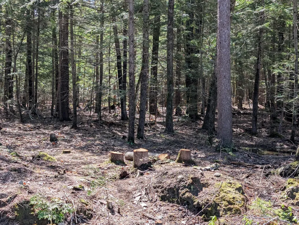 35 Mcallister Road Otisfield ME 04270