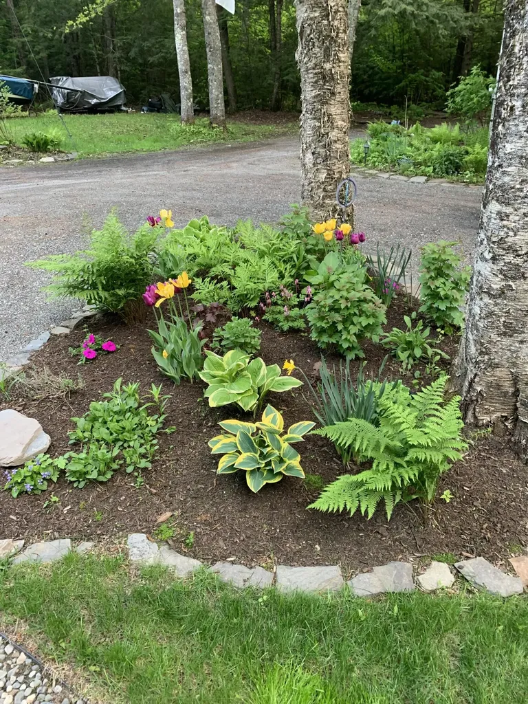 31 Salmon Road Madison ME 04950