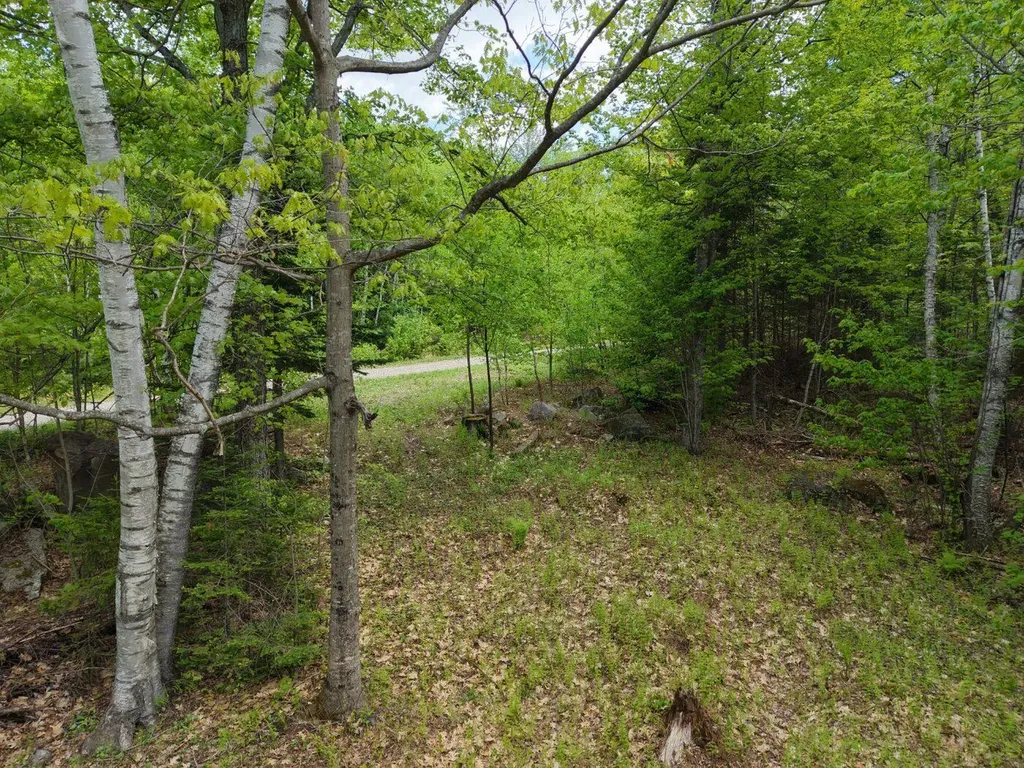 21 Jewett Way Hanover ME 04237