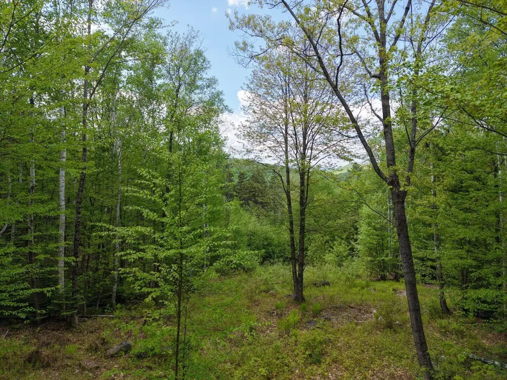 21 Jewett Way Hanover ME 04237