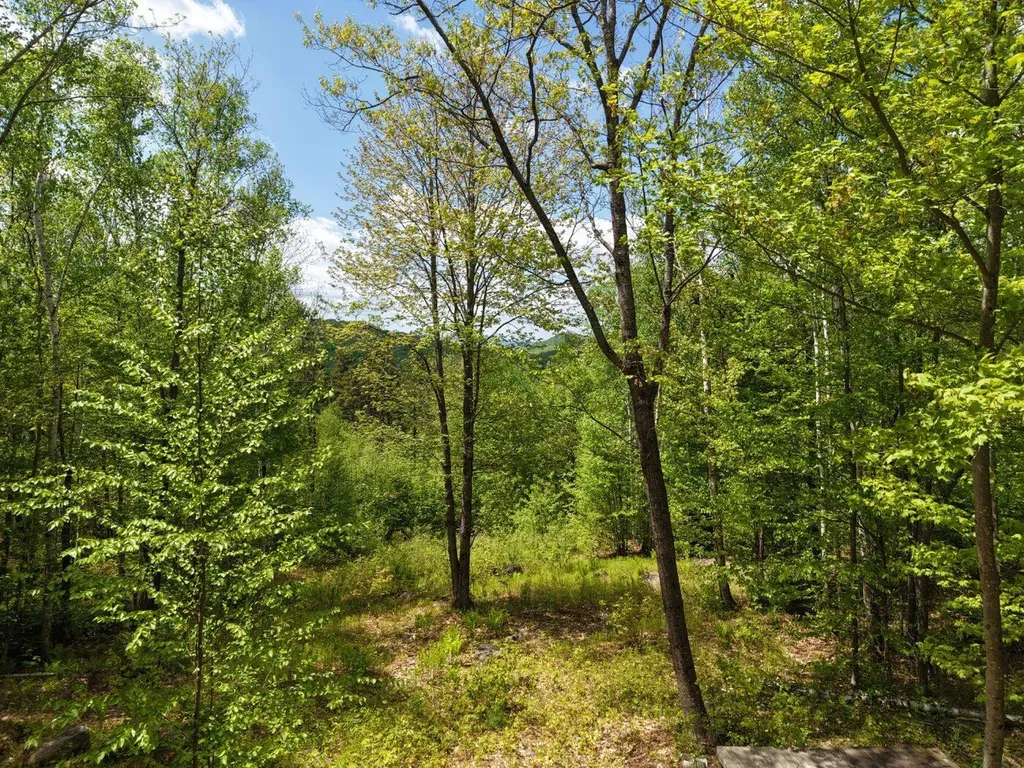21 Jewett Way Hanover ME 04237