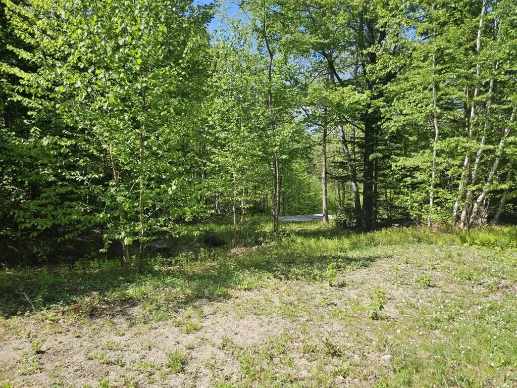 21 Jewett Way Hanover ME 04237