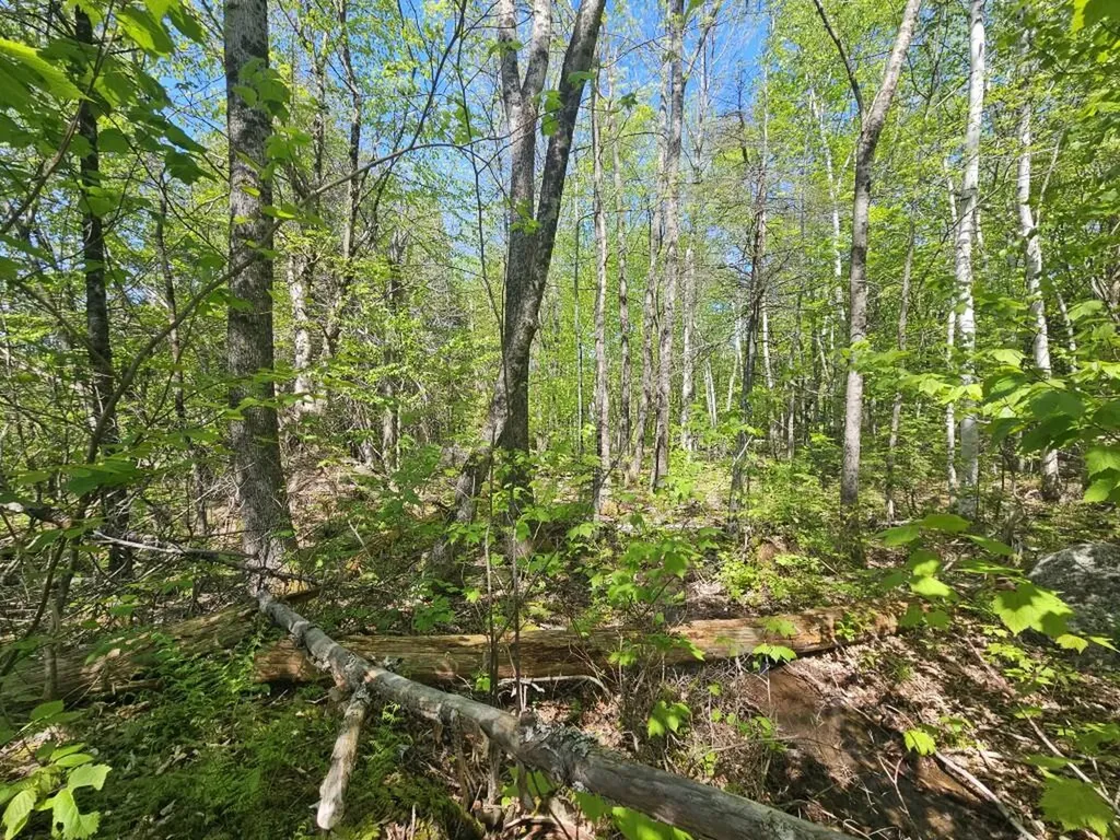 21 Jewett Way Hanover ME 04237