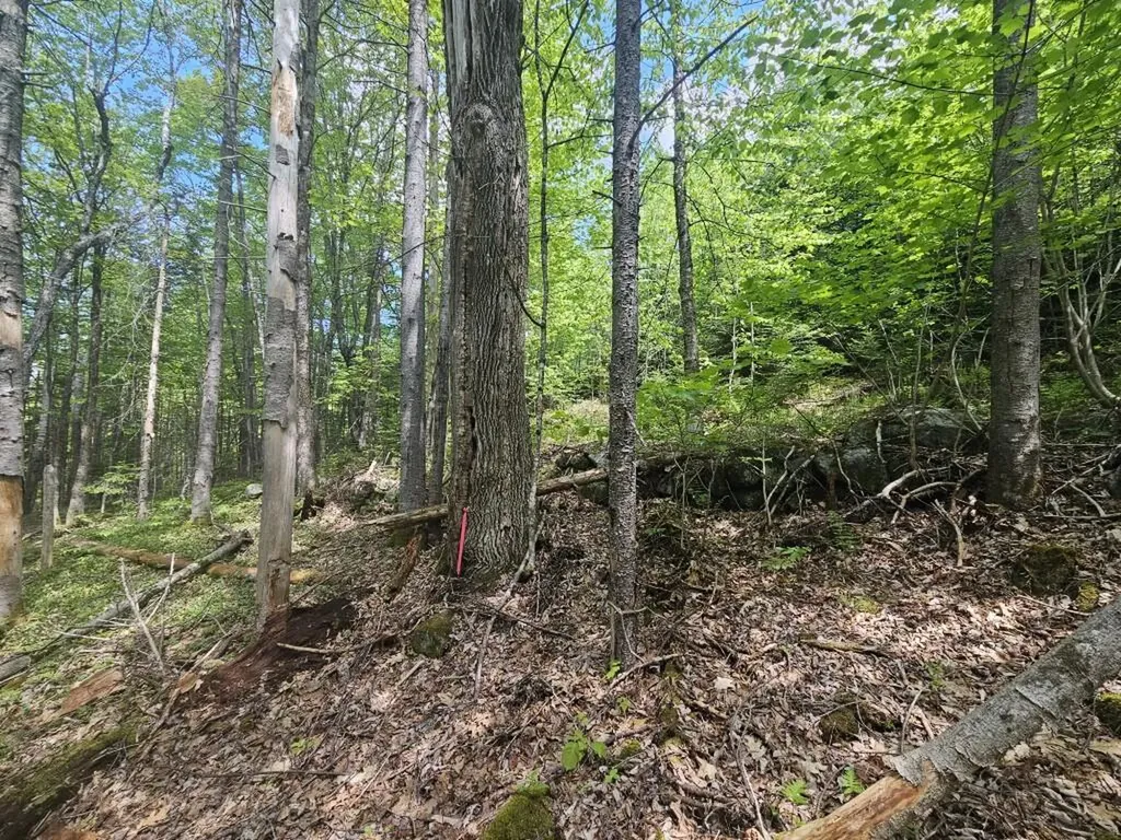 21 Jewett Way Hanover ME 04237