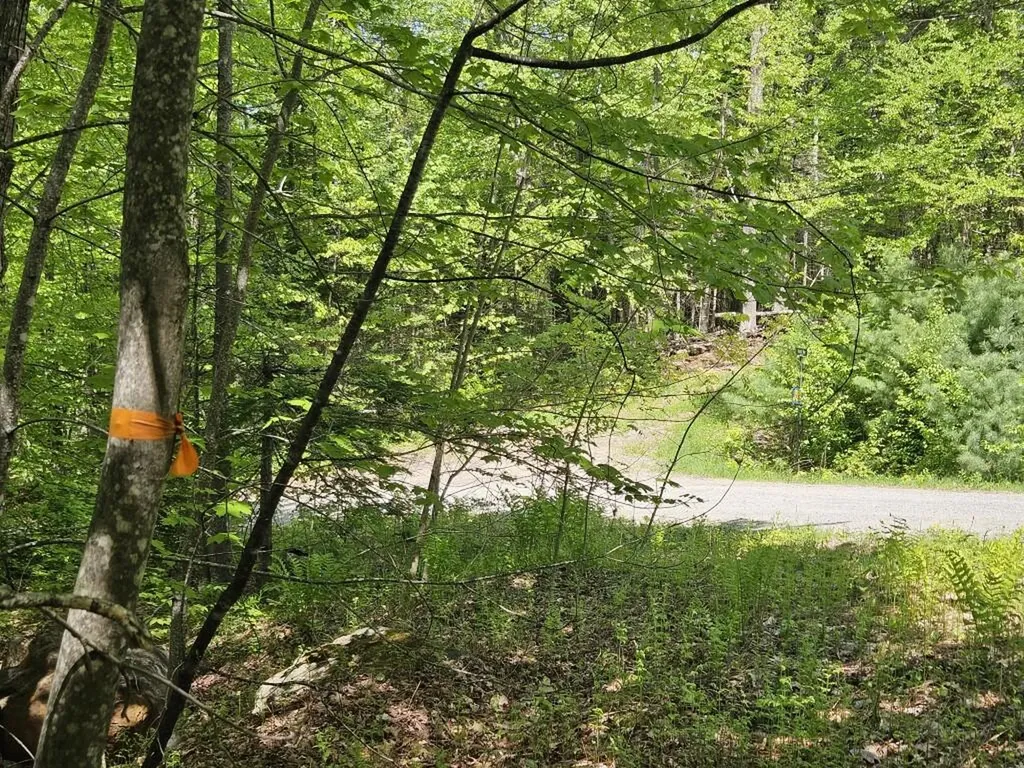 21 Jewett Way Hanover ME 04237