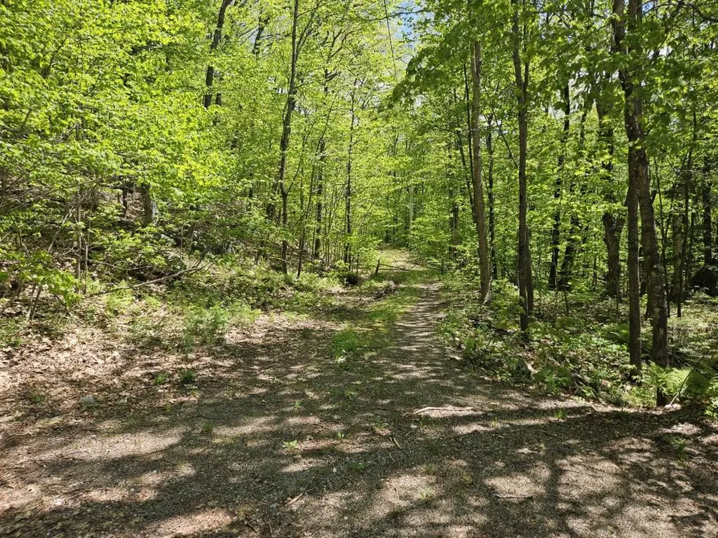 21 Jewett Way Hanover ME 04237