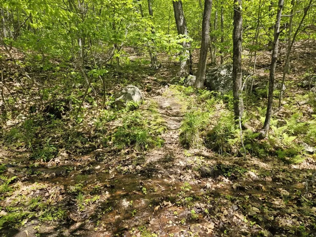 21 Jewett Way Hanover ME 04237