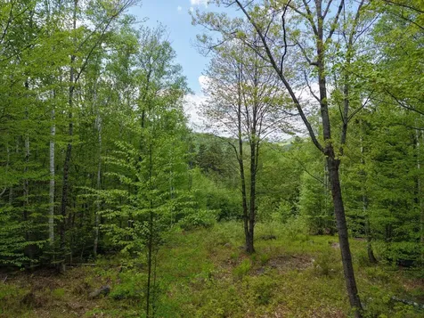 21 Jewett Way Hanover ME 04237