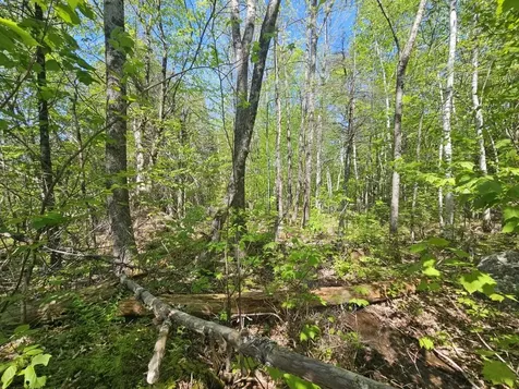 21 Jewett Way Hanover ME 04237