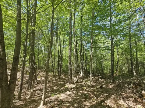 21 Jewett Way Hanover ME 04237