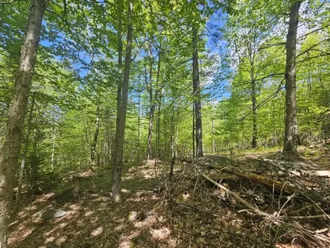 21 Jewett Way Hanover ME 04237