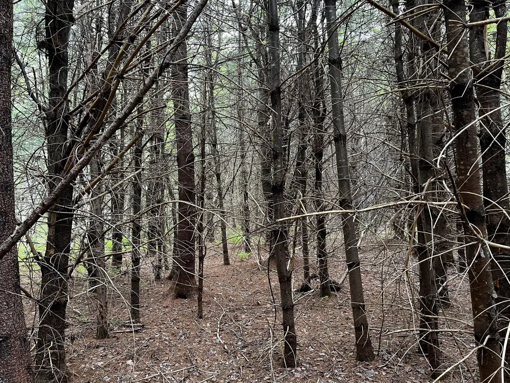Lot 6 Emery Farm Road Medford ME 04463