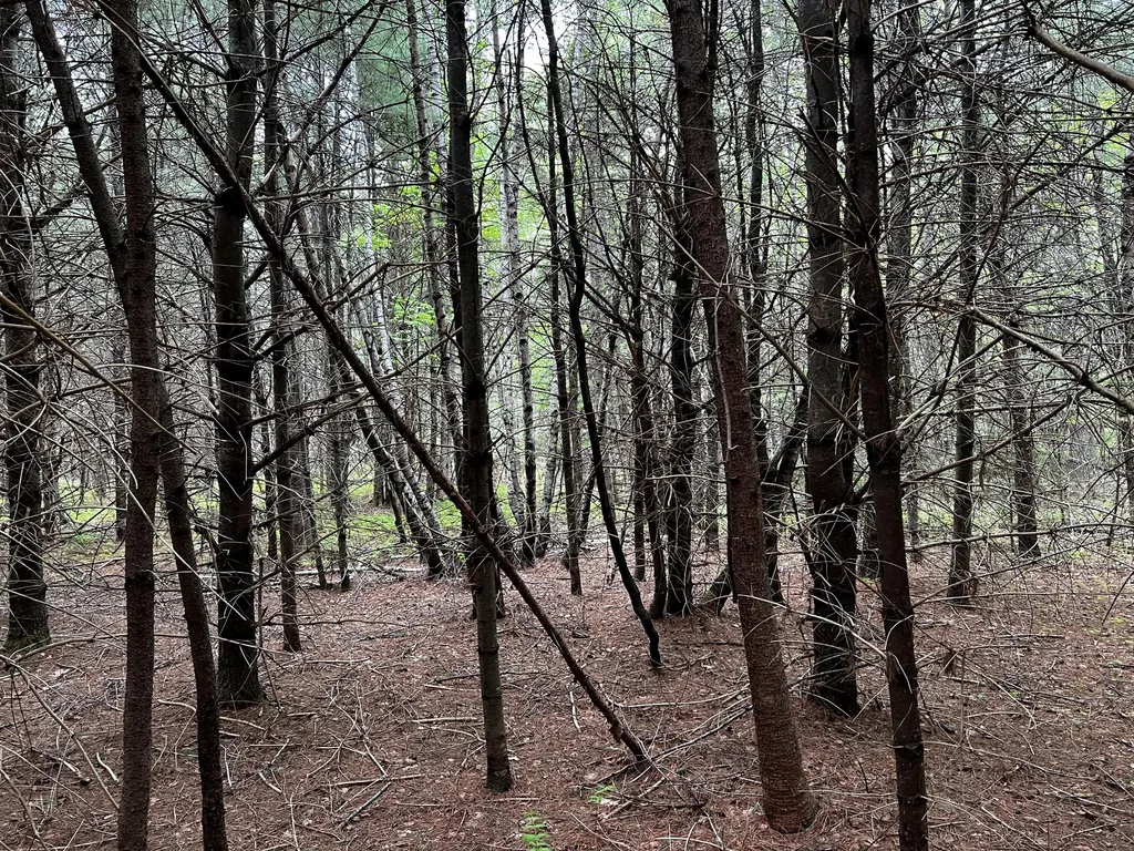 Lot 6 Emery Farm Road Medford ME 04463