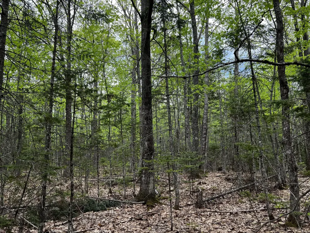 Lot 6 Emery Farm Road Medford ME 04463