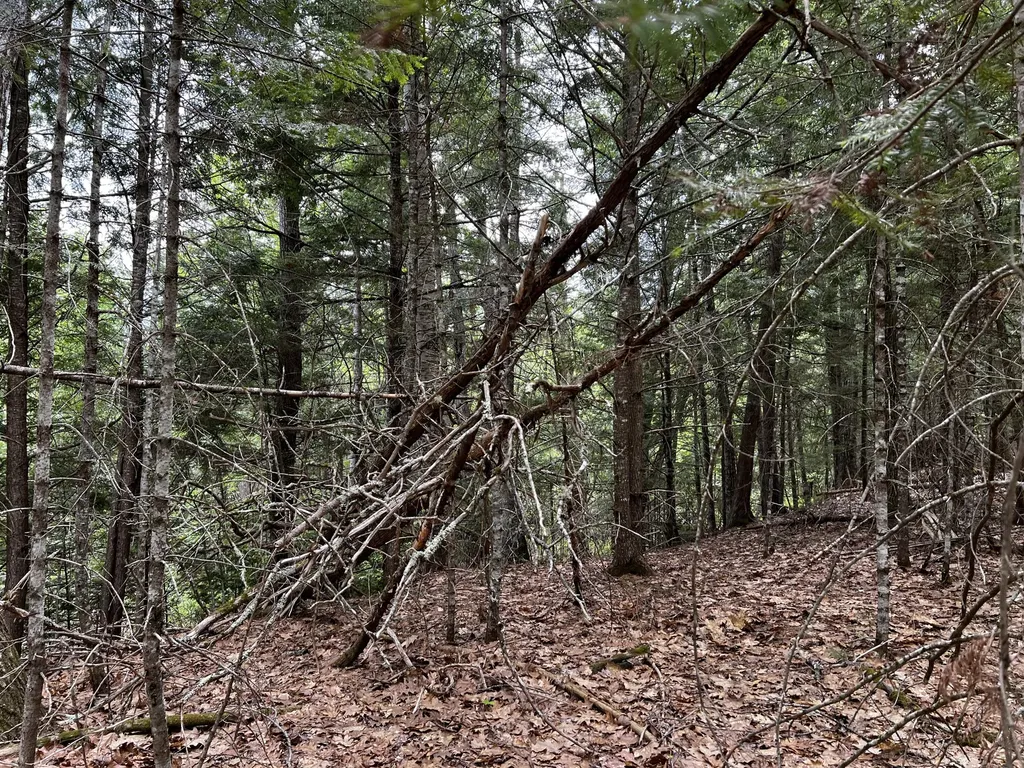 Lot 6 Emery Farm Road Medford ME 04463