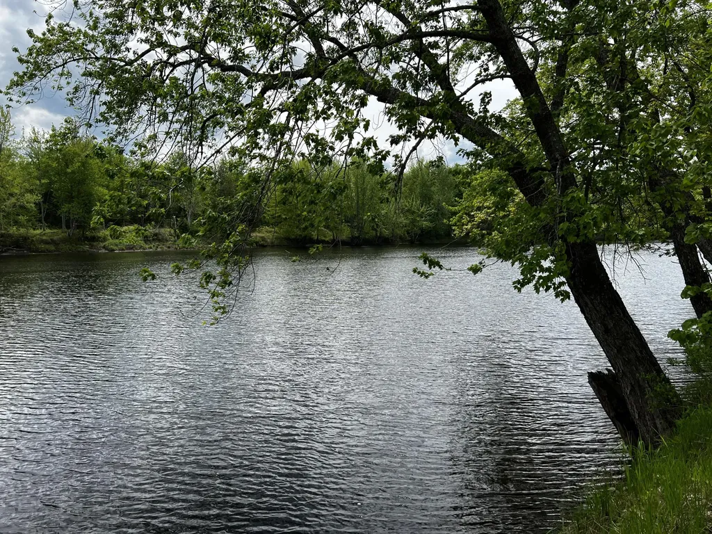 Lot 6 Emery Farm Road Medford ME 04463