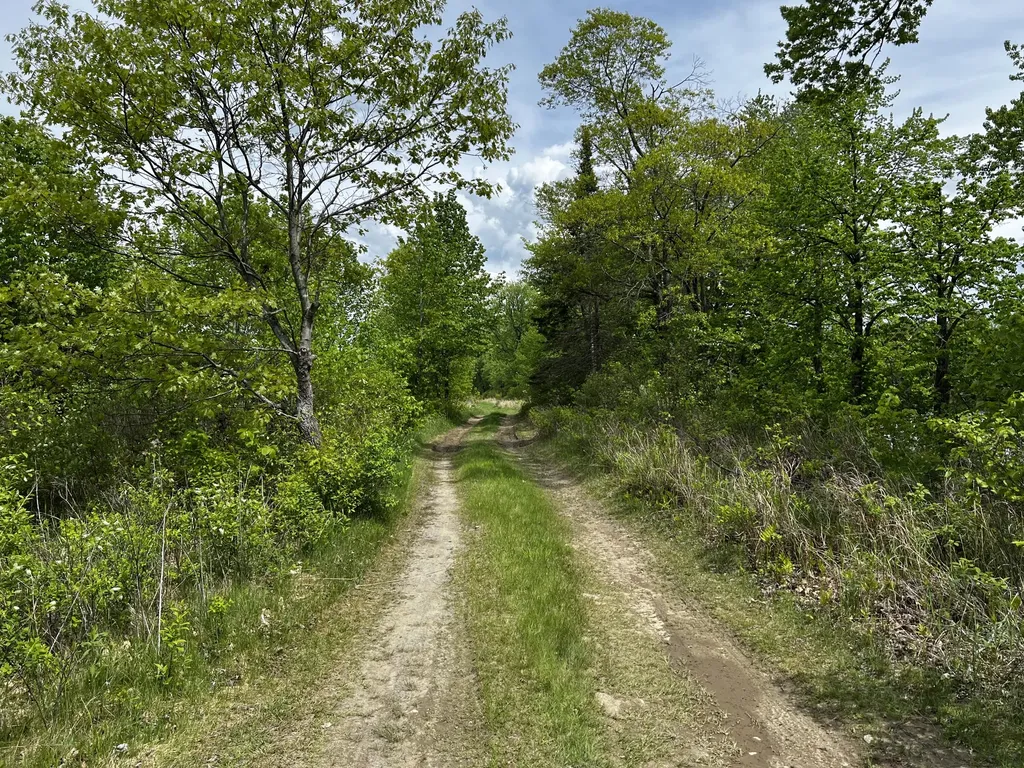 Lot 6 Emery Farm Road Medford ME 04463