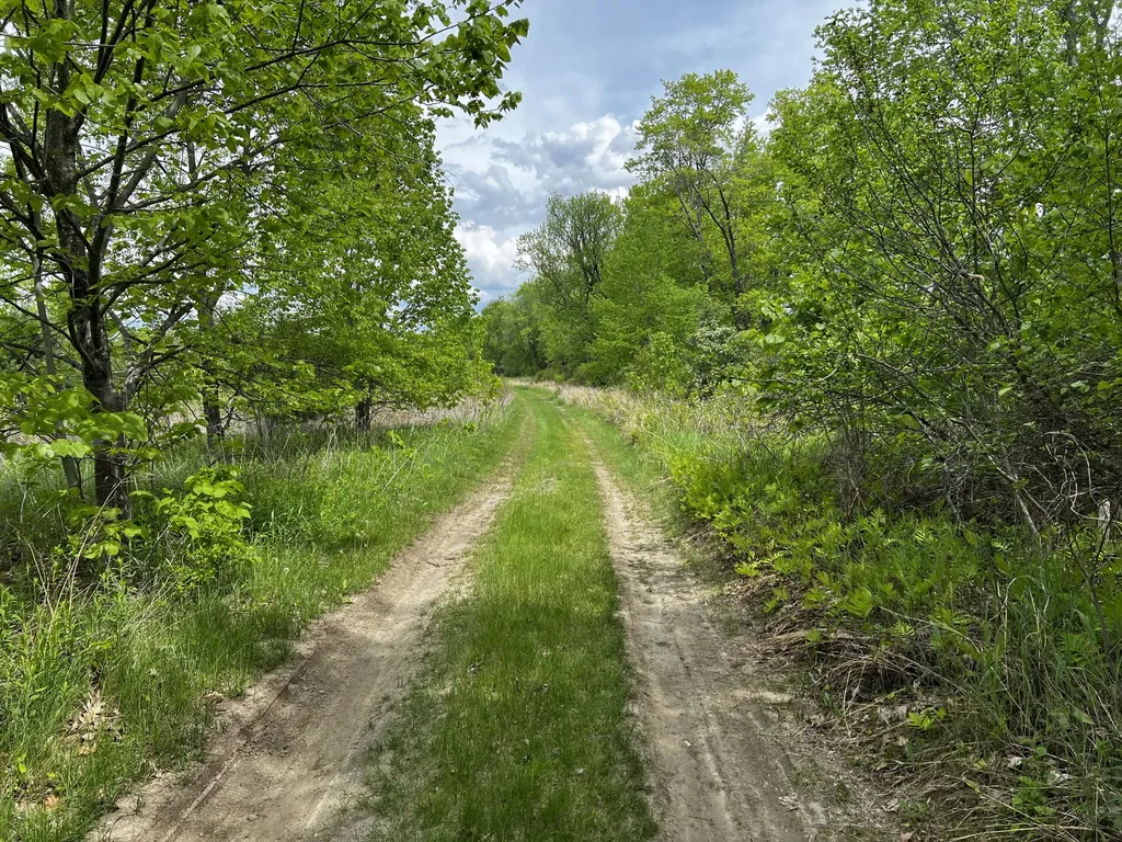 Lot 6 Emery Farm Road Medford ME 04463