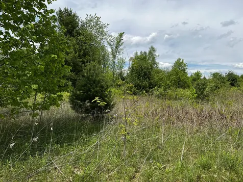 Lot 6 Emery Farm Road Medford ME 04463