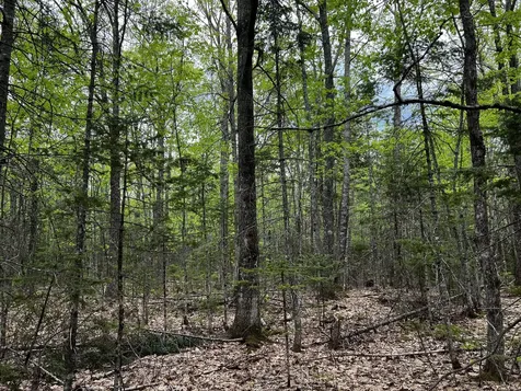 Lot 6 Emery Farm Road Medford ME 04463