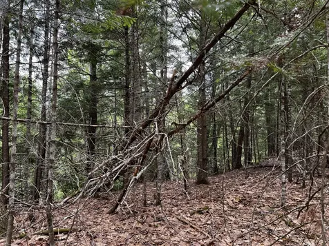 Lot 6 Emery Farm Road Medford ME 04463
