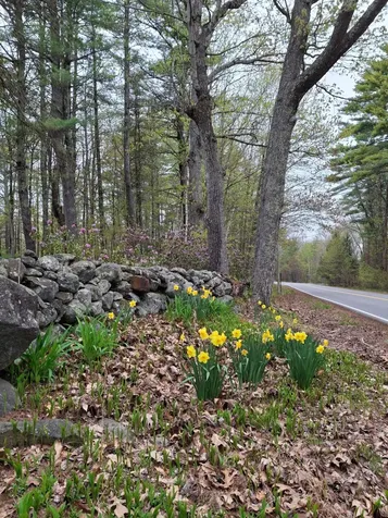 51 Country Club #3 Road Sanford ME 04073