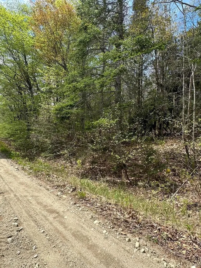 Lot 2 Morse District Road Road N Steuben ME 04680